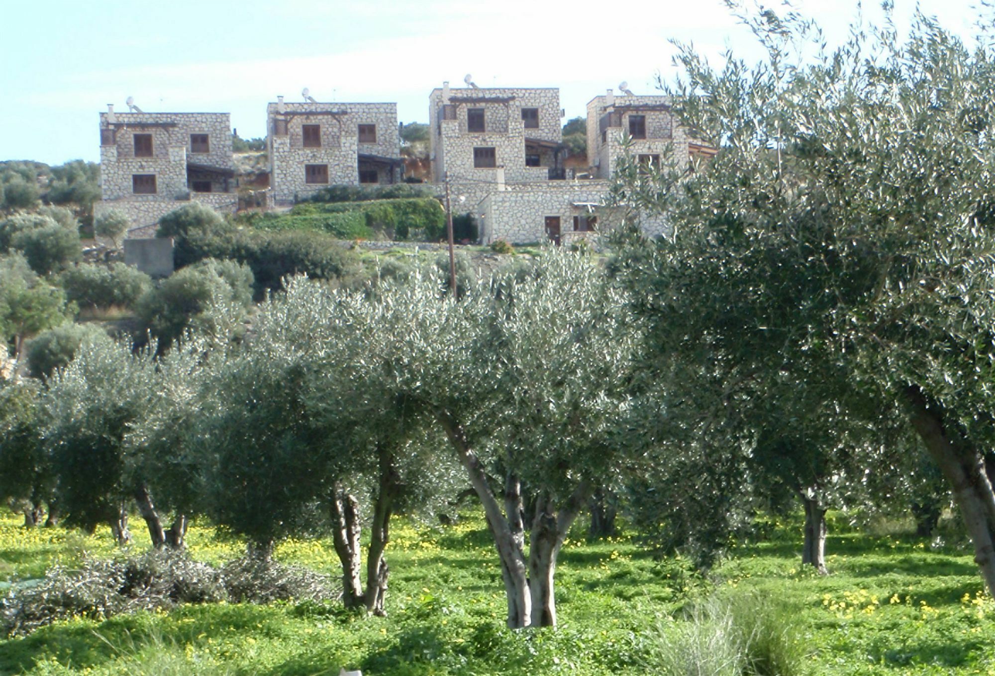 Ville du Soleil - exclusive homes with rustic charm&panoramic seaview Makrýgialos Extérieur photo